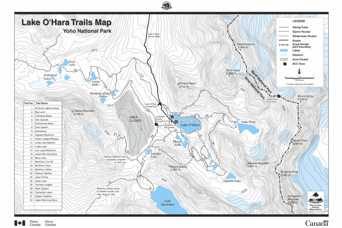 Lake OHara Yoho National Park MB Guiding