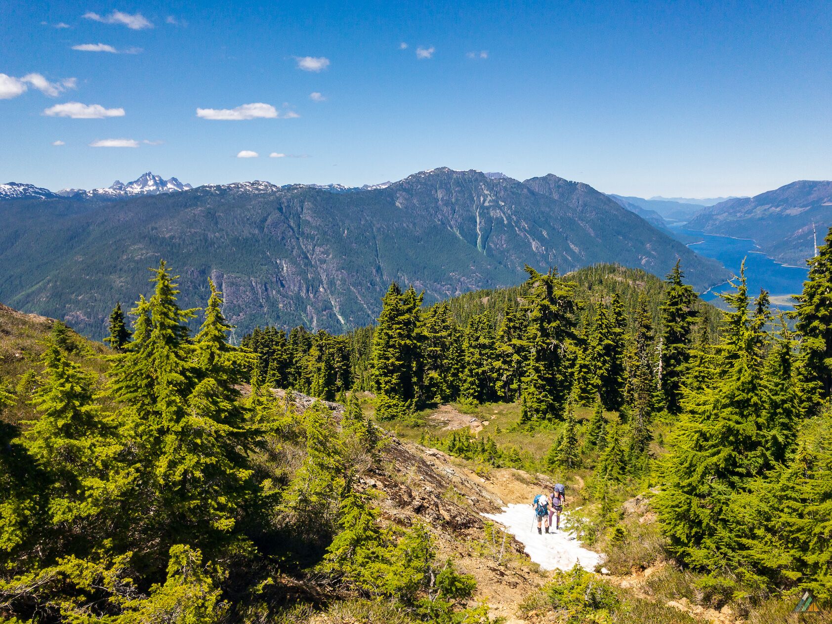 Flower Ridge Trail Buttle Lake View