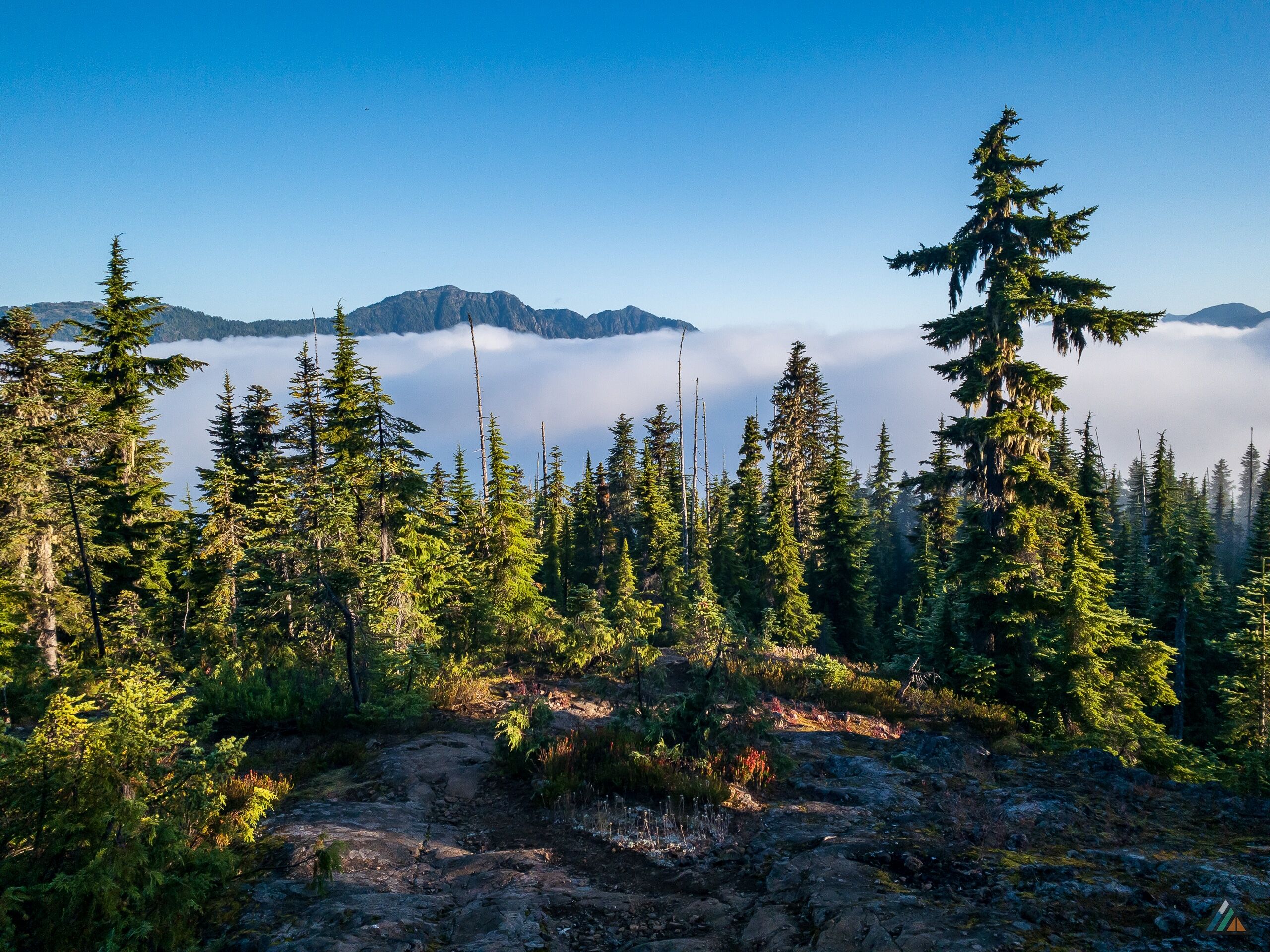 Flower Ridge Trail Valley Bottom Fog
