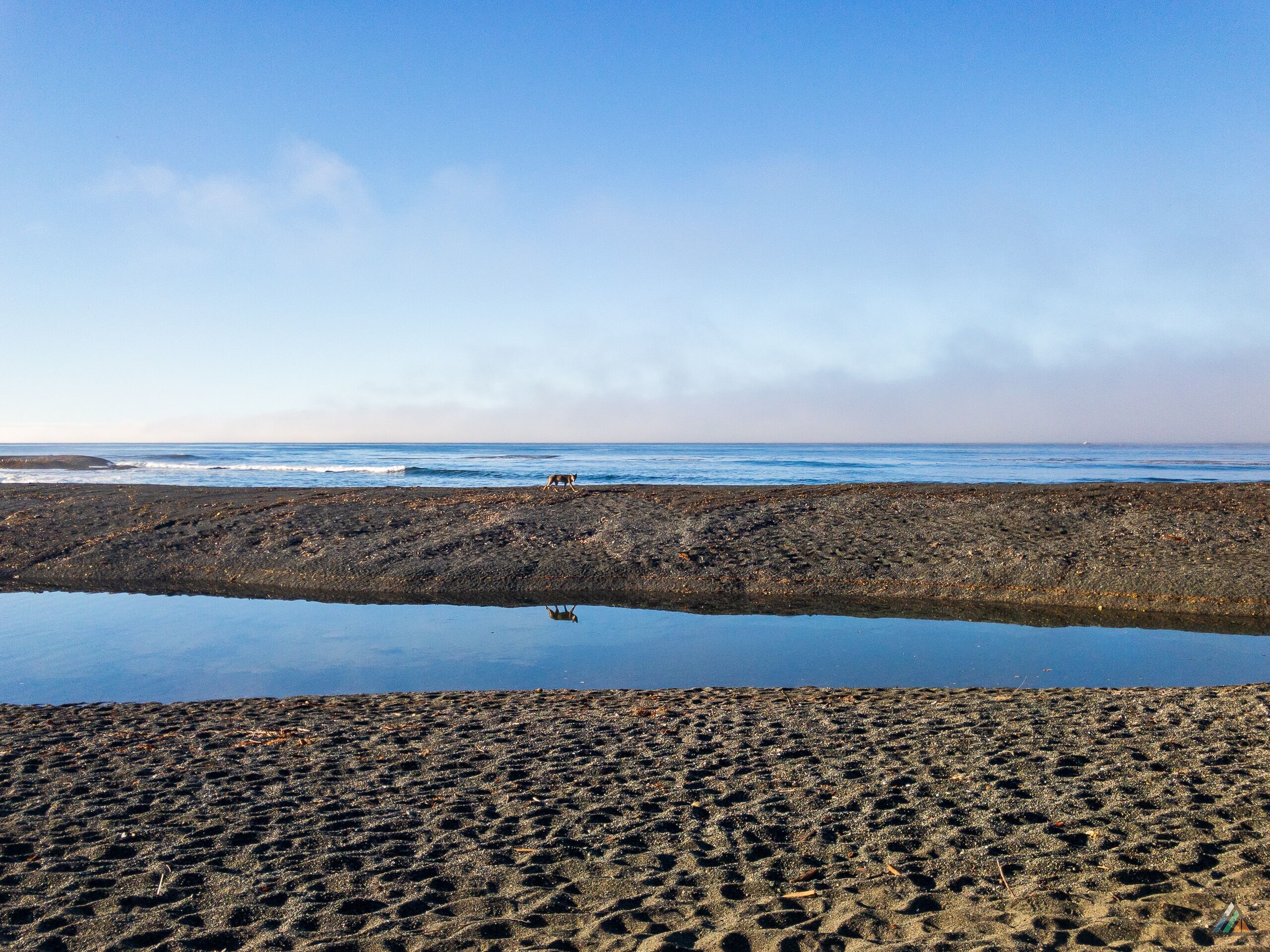 Nootka Trail Beano Creek Sea Wolf