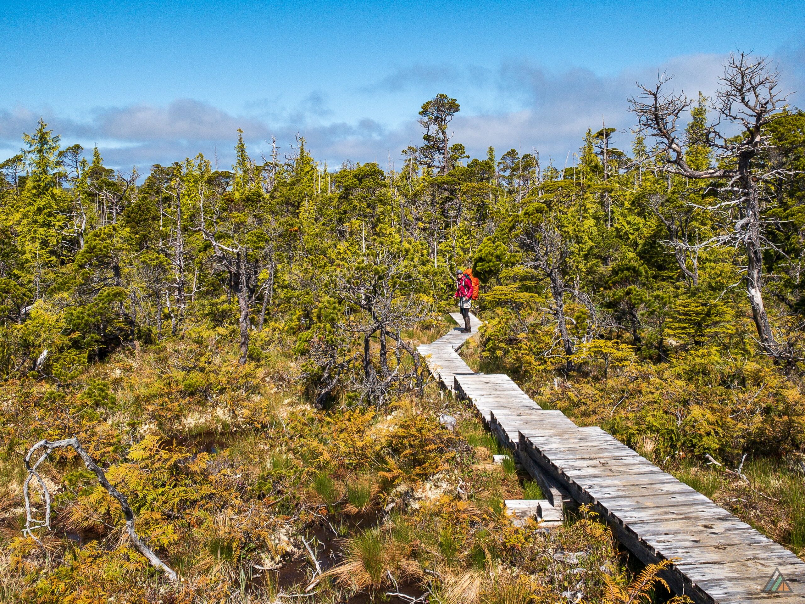 North Coast Trail Upland Bog Boardwalk