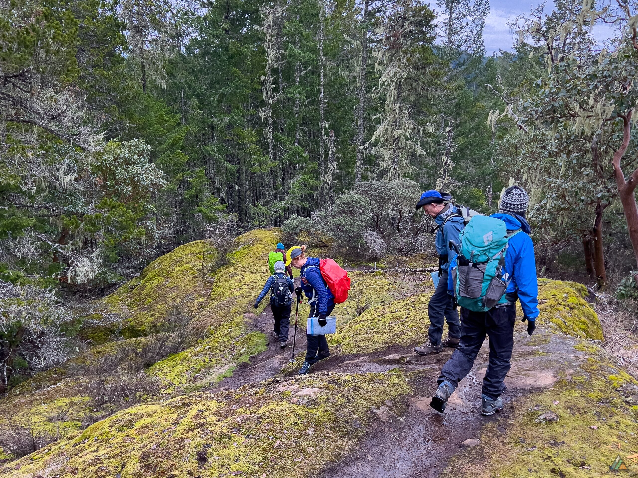 Sooke Hills Wilderness Mount Braden Trail