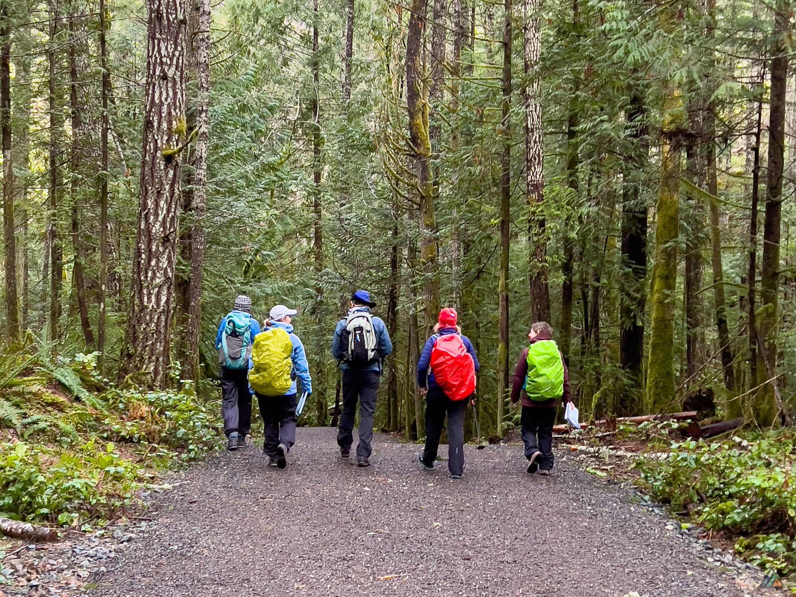 Sooke Hills Wilderness Veitch Creek Trail