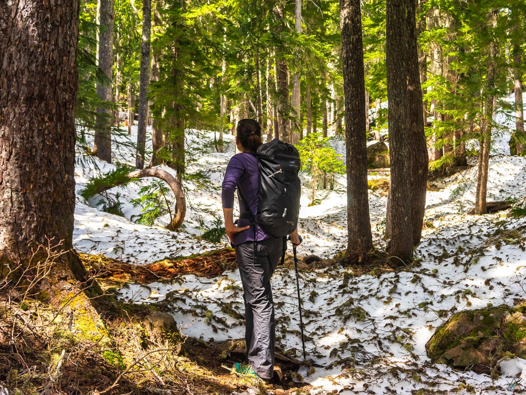 Phillips Ridge Trail Snow Line