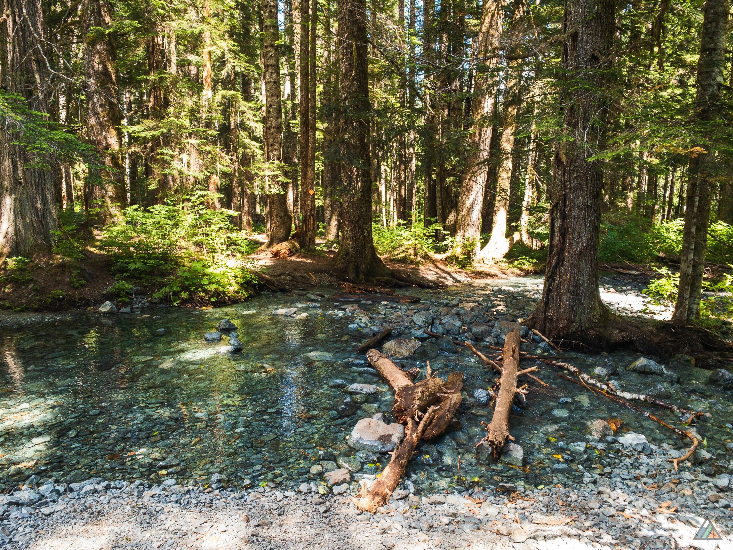 Elk River Trail Creek Crossing