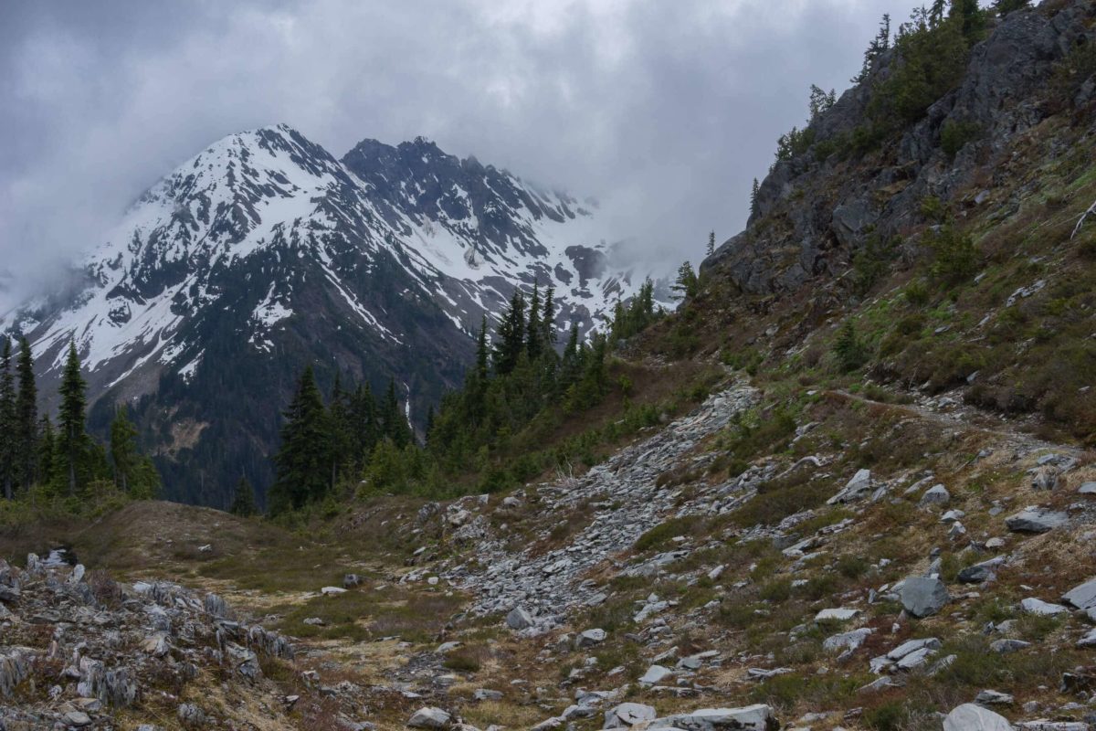 Skokomish & Upper Duckabush - Olympic National Park • MB Guiding