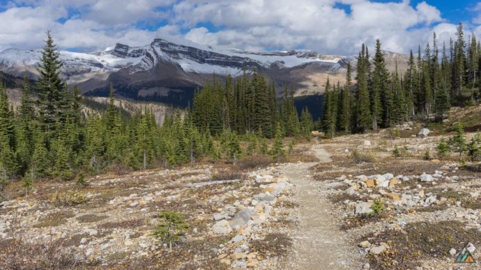 Iceline Trail - Yoho National Park • MB Guiding