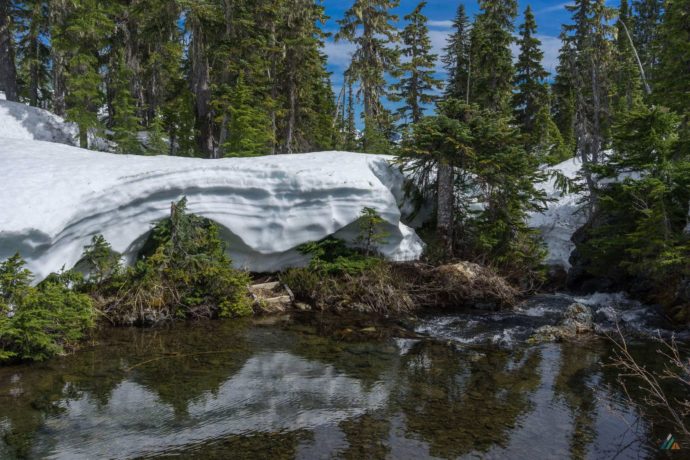 Phillips Ridge Trail - Strathcona Provincial Park • MB Guiding