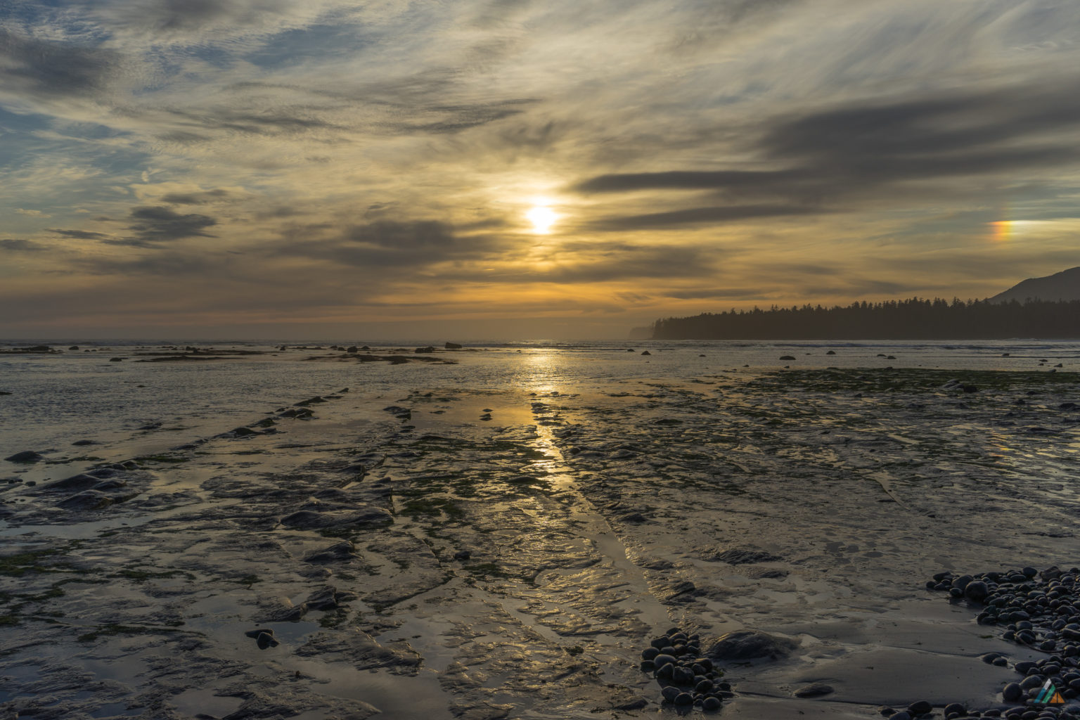 nootka island trail