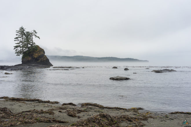 West Coast Trail Owen Point Fog Sea Stack Kelp