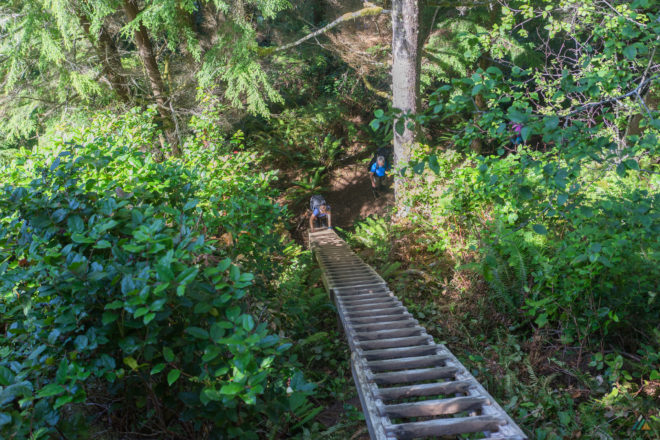 West Coast Trail Pachena Bay Ladder