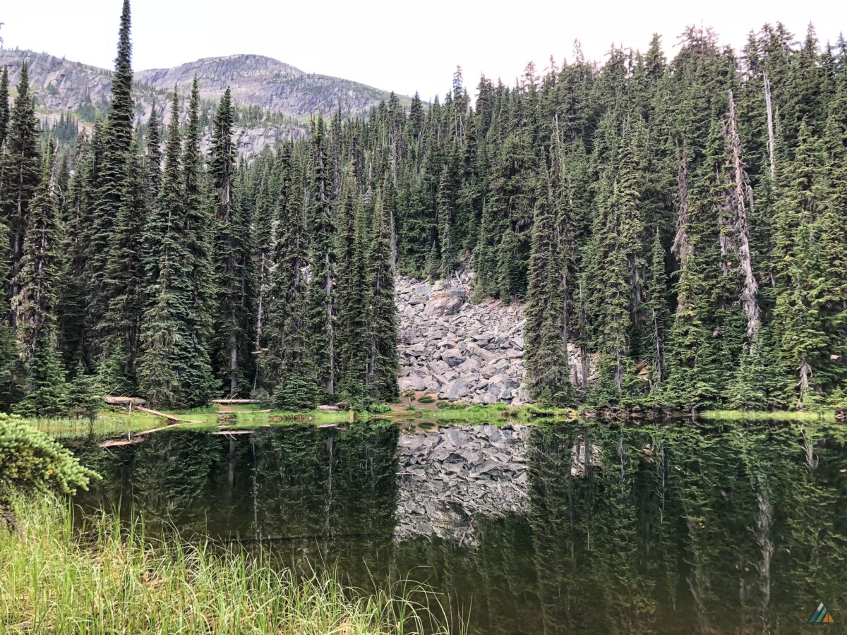 Abbott Ridge Trail - Glacier National Park • MB Guiding