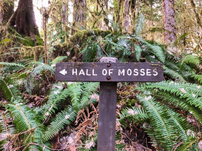 Hoh River Trail Hall Of Mosses Sign