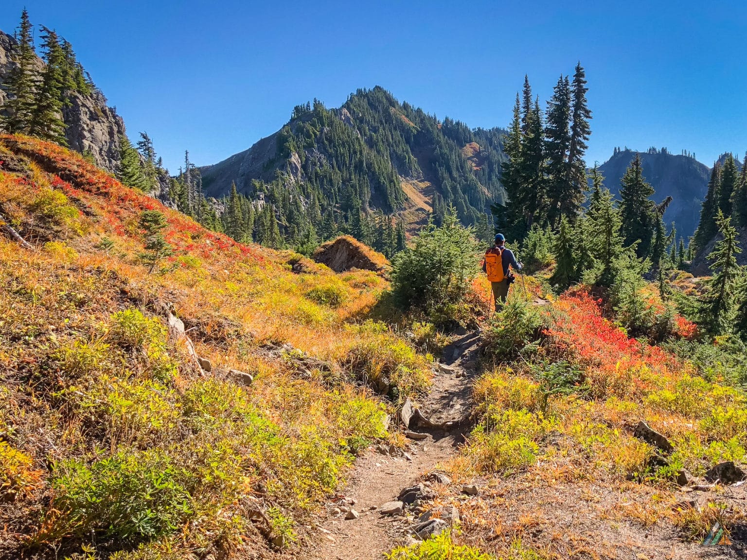 High Divide Seven Lakes Basin Olympic National Park MB Guiding   High Divide Seven Lakes Basin Subalpine Colours 1536x1152 