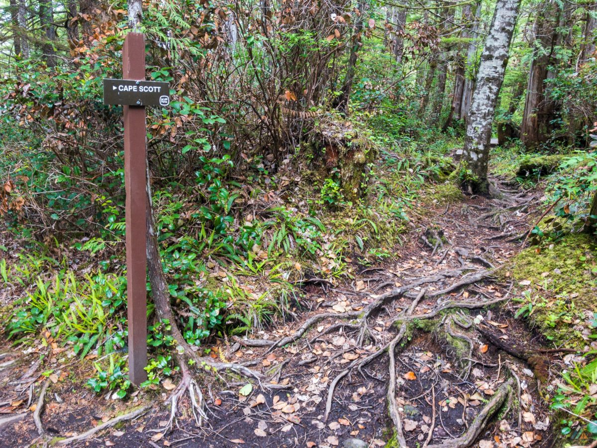 North Coast Trail - Cape Scott Provincial Park • MB Guiding