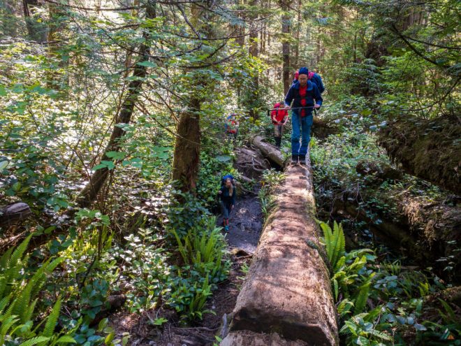 West Coast Trail Log Walk Group