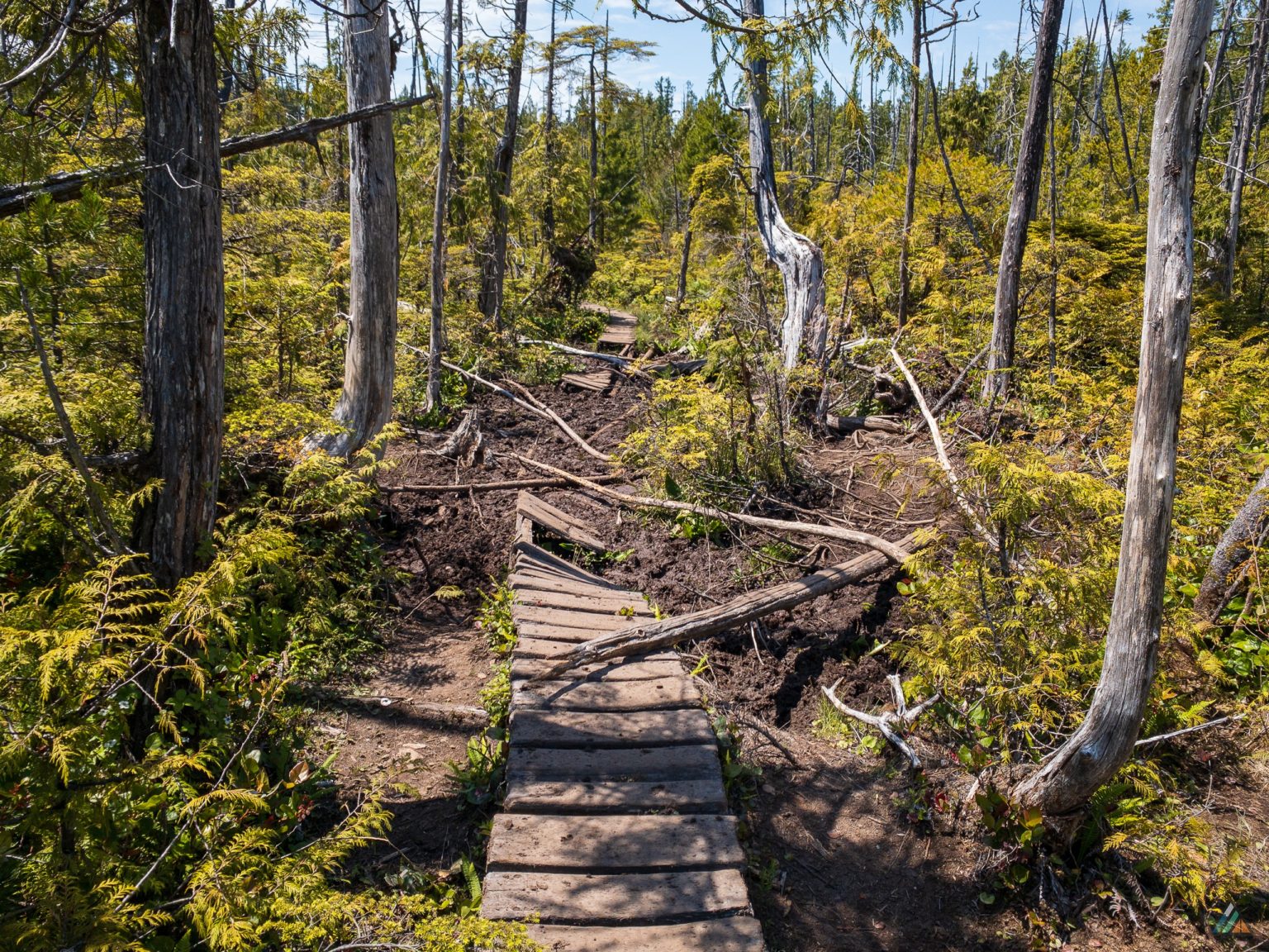 West Coast Trail - Pacific Rim National Park Reserve • MB Guiding