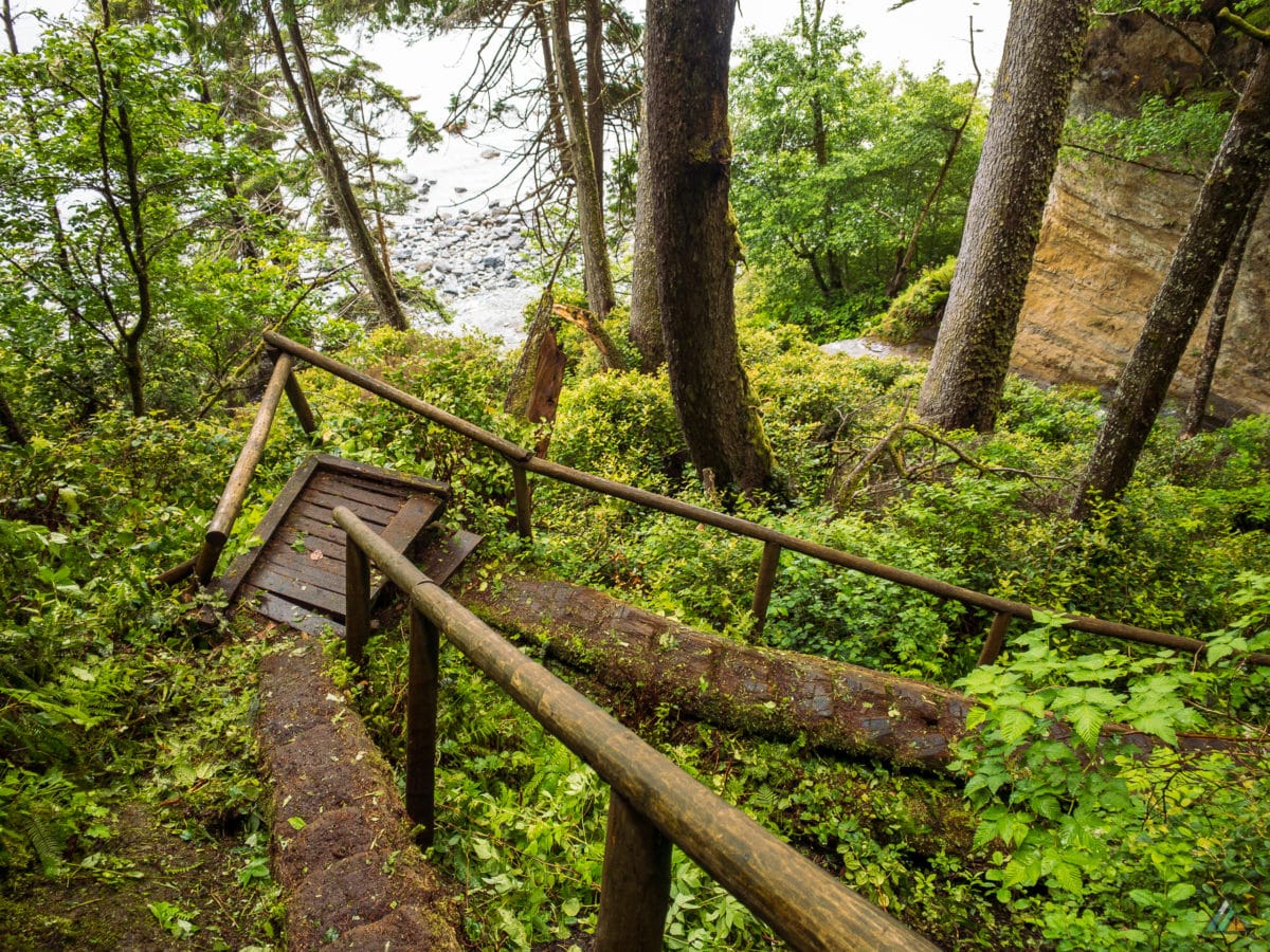 Juan de Fuca Marine Trail - Juan de Fuca Provincial Park • MB Guiding