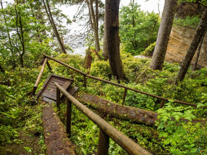 Juan de Fuca Trail Log Staircase