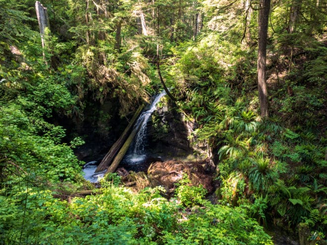 Juan de Fuca Trail Payzant Creek Waterfall