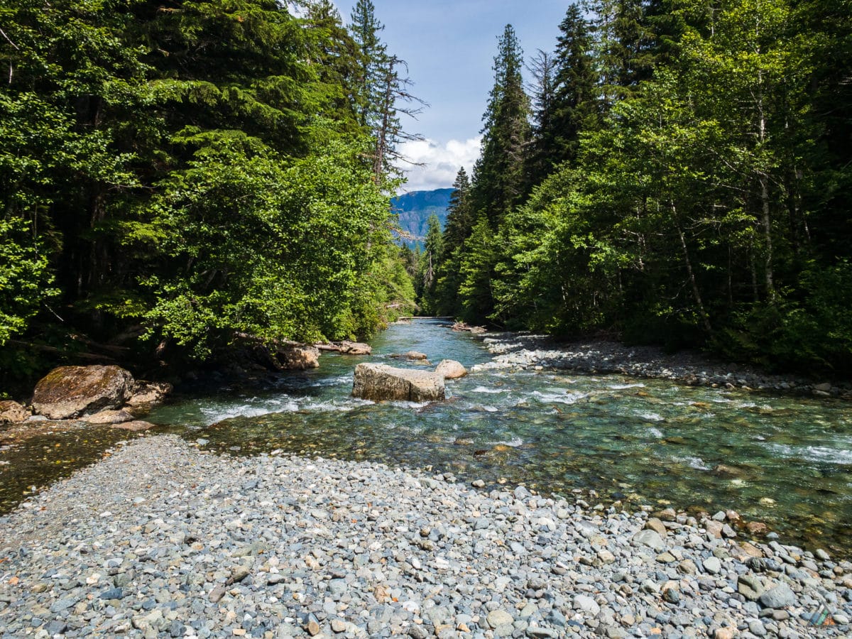 Elk River Trail - Strathcona Provincial Park • MB Guiding