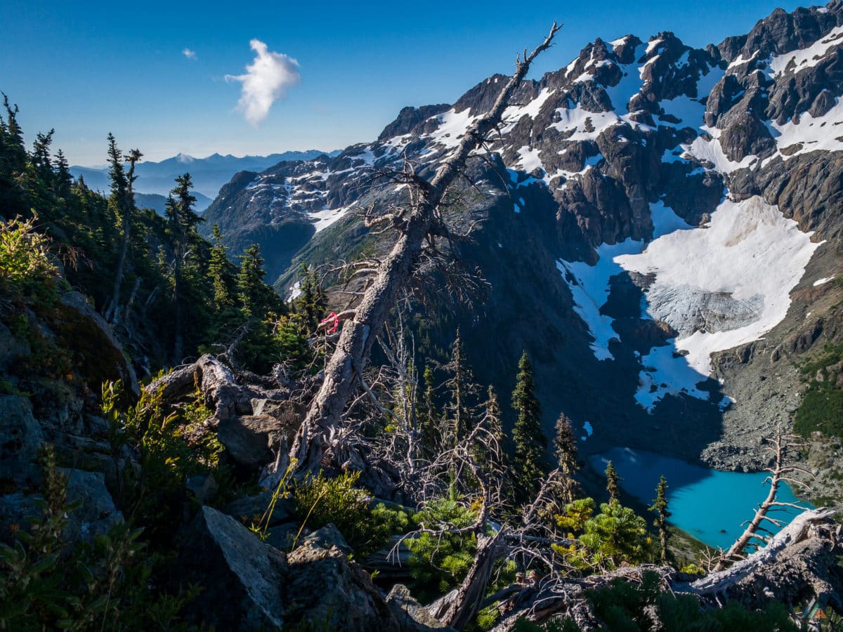 Flower Ridge Trail - Strathcona Provincial Park • MB Guiding