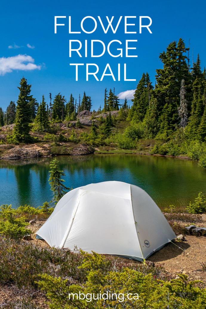 Flower Ridge Trail - Strathcona Provincial Park • MB Guiding