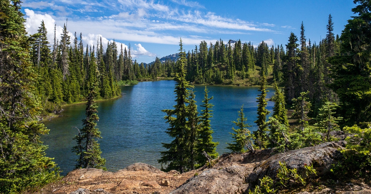 Phillips Ridge Trail - Strathcona Provincial Park • MB Guiding