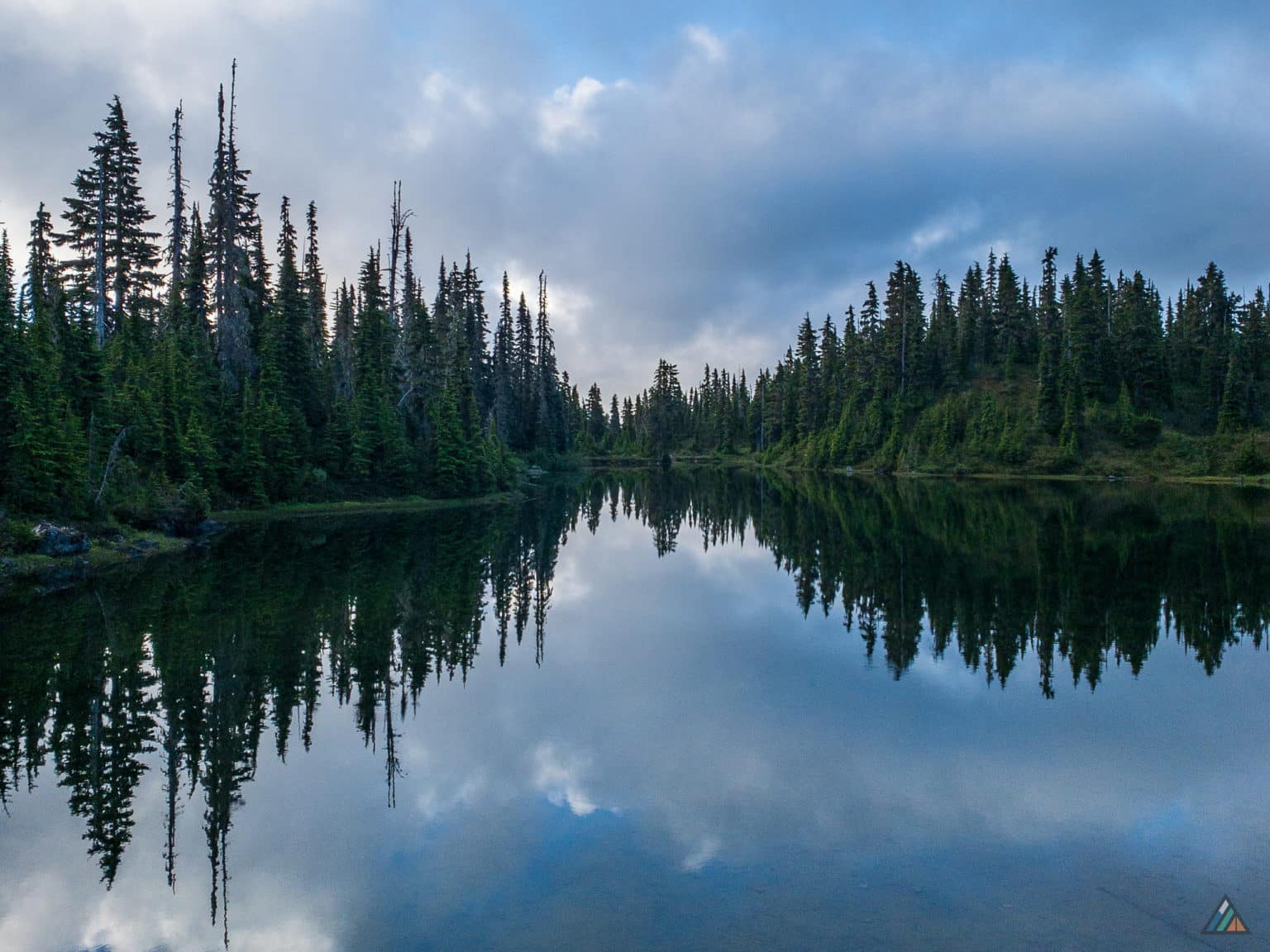 Phillips Ridge Trail - Strathcona Provincial Park • MB Guiding