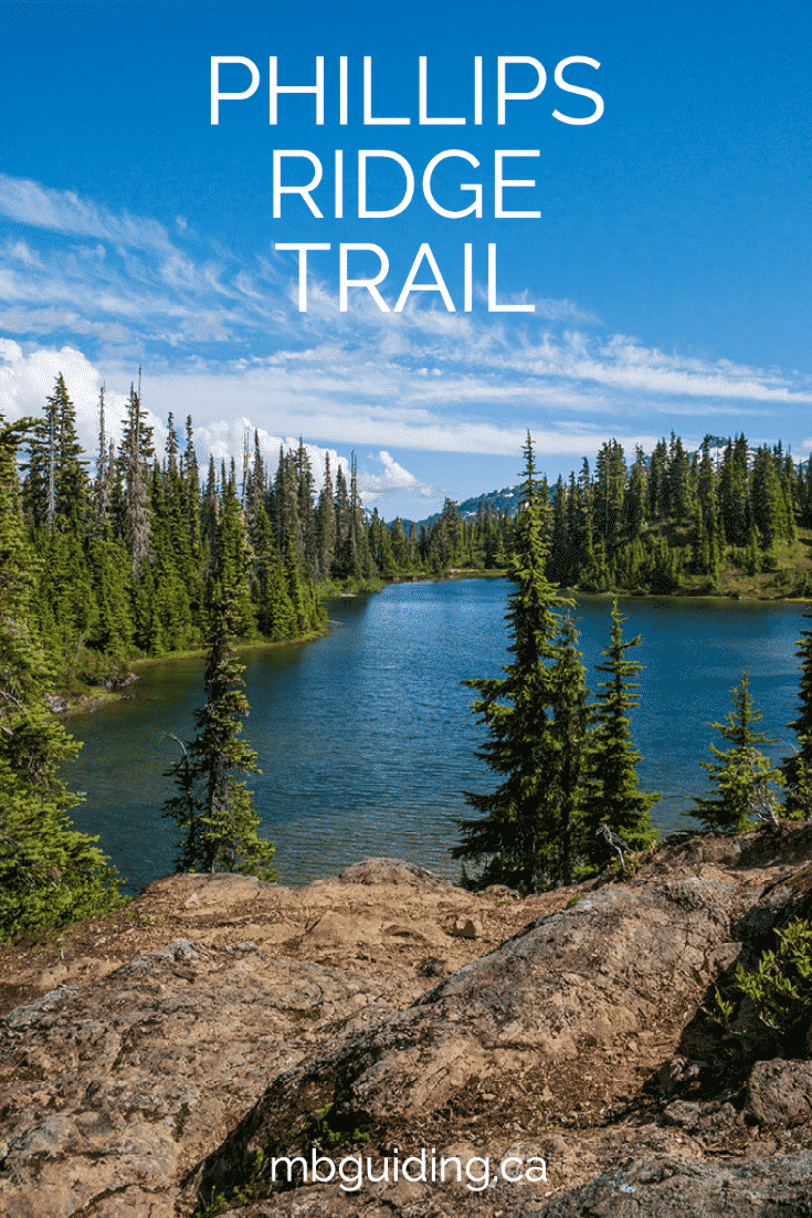 Phillips Ridge Trail - Strathcona Provincial Park • MB Guiding