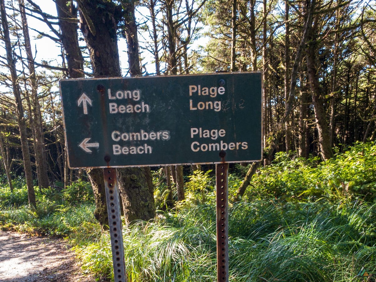 Pacific Rim Traverse - Pacific Rim National Park Reserve • MB Guiding