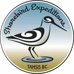 Shorebird Expeditions Logo