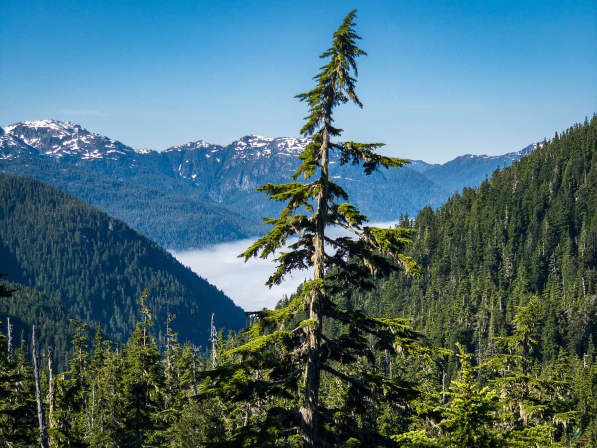 Bedwell Lakes Trail - Strathcona Provincial Park • MB Guiding