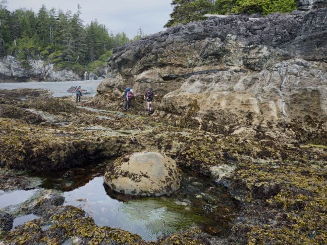 Nootka Trail Limestone Cliffs Low Tide Route