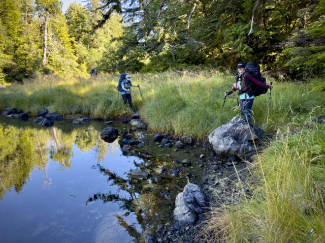 Nootka Trail Louie Bay Meadows