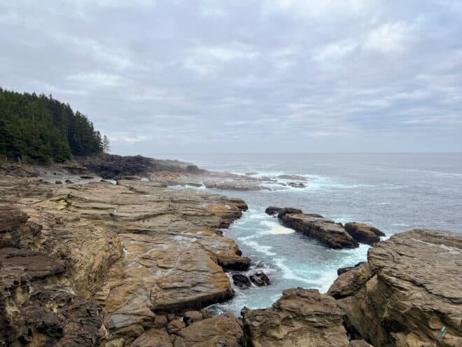 West Coast Pachena Sea Lion Rock