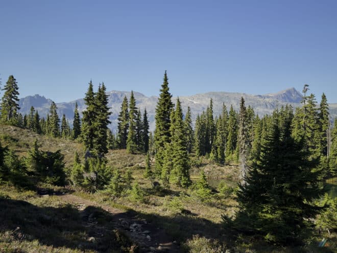 Moat Lake Circuit High Vantage Point