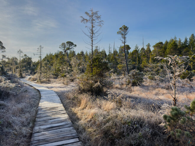 Cape Scott Trail Frozen Boardwalks