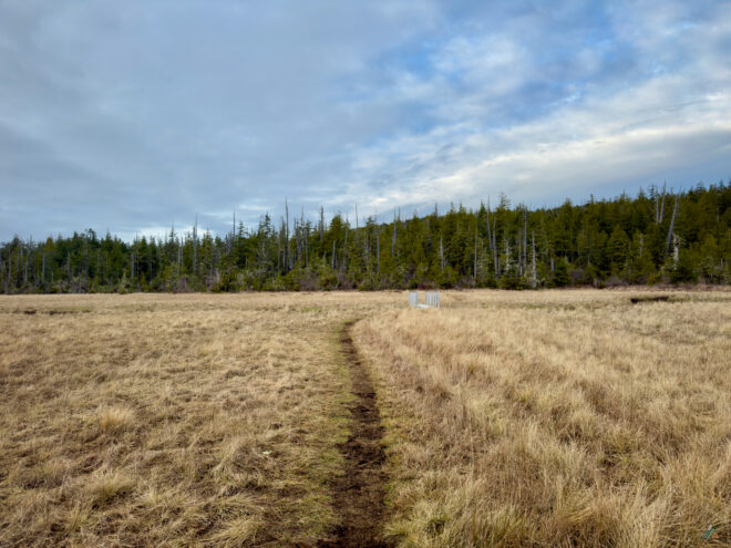 Cape Scott Trail Hansen Meadow