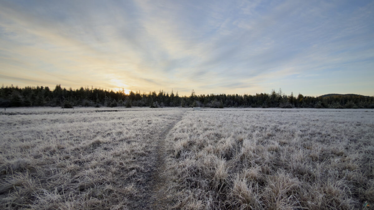 Cape Scott Trail Hansen Meadow Sunrise